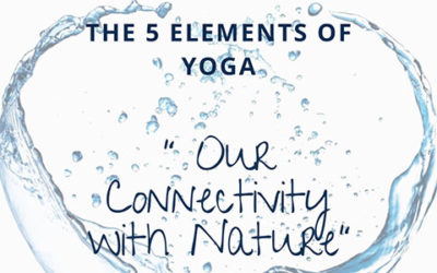 Yin Yoga Element | Connectivity with Nature