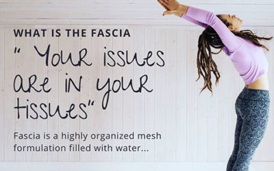 What is Fascia