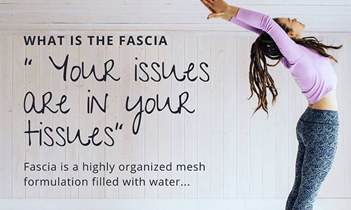 What is Fascia