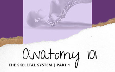 Yoga Anatomy | Human Anatomy | Skeletal System