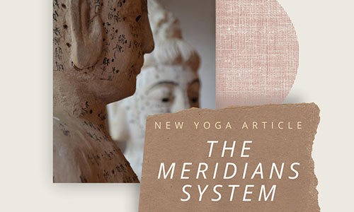 The Meridians System | Chinese Medicine