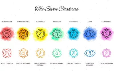 The Chakra system